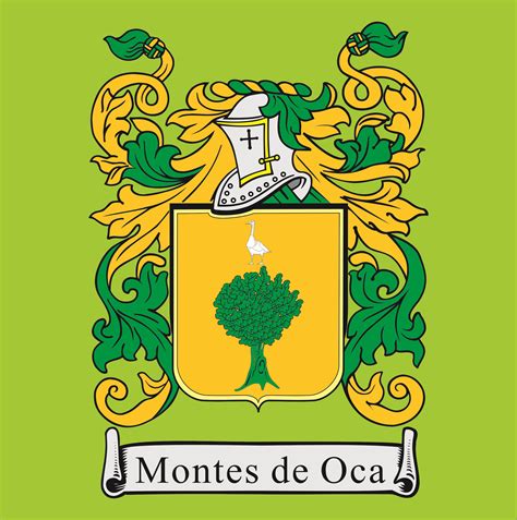 Career Overview and Biography of Armando Montes de Oca 14