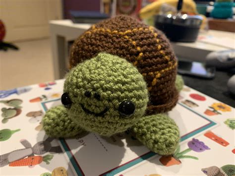 I Crocheted A Turtle From The Whimsical Stitches Book By Lauren Espy R Crochet