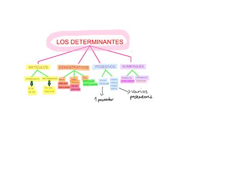 Determinantes Resumen Esquema Esquemas Y Mapas Conceptuales De Lengua Y Literatura Docsity