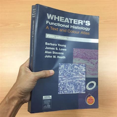 Wheaters Functional Histology A Text And Colour Atlas Th Edition