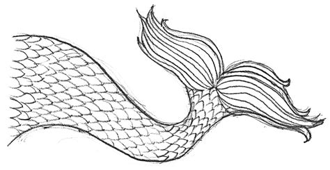 Mermaid Tail Coloring Page | Educative Printable