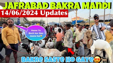 Jafrabad Bakra Mandi 2024 Latest Video सबस ससत बकर Jafrabad