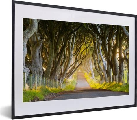 Fotolijst Incl Poster De Dark Hedges En De Ondergaande Zon 40x30