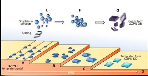 schematic   proposed nucleation process  ozpn dd   surface