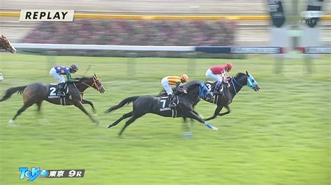 【競馬】東京9r南武特別、オジュウチョウサンが11連勝達成 鞍上武豊もガッツポーズ 次走は有馬記念 まとめまとめ最新ニュース