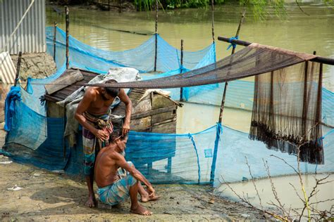 climates cruel toll  agonizing quest  coastal food