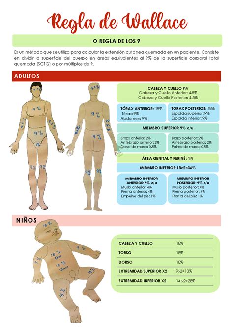 Regla de los 9 en el Cálculo de Superficie Cutánea Quemada - Studocu
