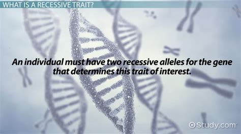 Recessive Trait Examples What Is A Recessive Gene Lesson