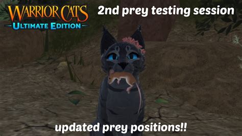 Updated Prey Positions In The Wcue Testing Session Warrior Cats