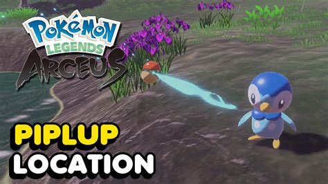 How To Get Piplup In Pokemon Legends Arceus Piplup Location YouTube