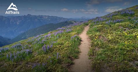 10 Best hikes and trails in Mount Baker Wilderness | AllTrails