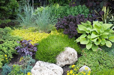 Low Maintenance Gardens Plant Layout Ideas And Designs For Australia