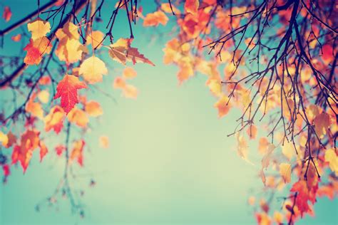 Autumn Themes For Kids