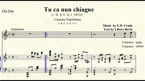 2 86 Tu ca nun chiagne 넌 왜 울지 않고 Curtis 쿠르티스 Original D minor 라단조