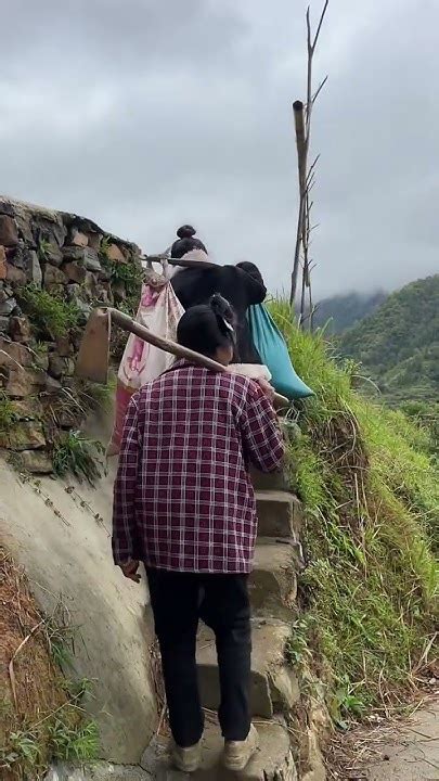 今天天气降温了，特别的冷，现在跟妈妈挑着这个农家肥上山种菜去了快手三农耕耘计划 我的乡村生活 我的乡村生活 Youtube