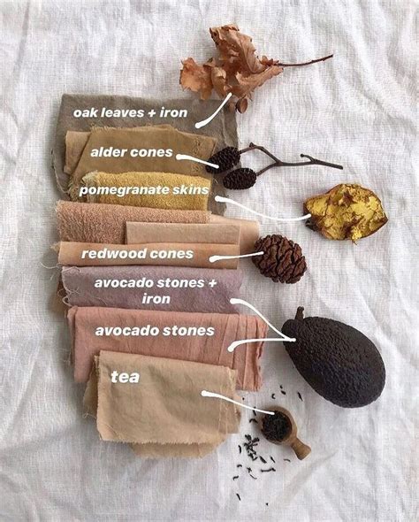 NATURAL DYEING REBECCA DESNOS On Instagram You Have Dye Plants All