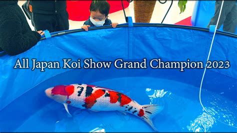 The Worlds Best Koi All Japan Koi Show Grand Champion 2023 งานประกวด