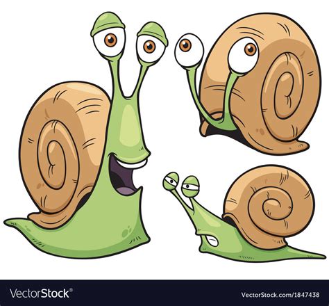 Snail Royalty Free Vector Image VectorStock