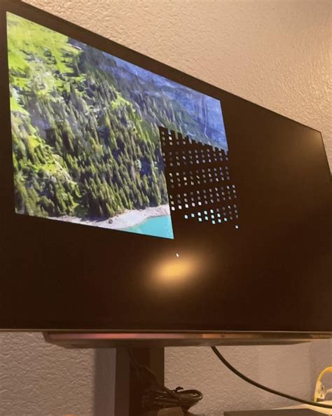 New LG OLED monitor showing black squares : r/pcmasterrace