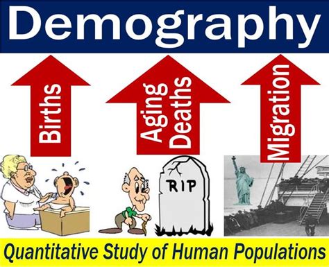 Demography - definition and meaning - Market Business News