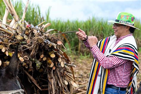 Gustavo Petro Aceptó Que No Cumplirá Con La Reforma Agraria No Podrá