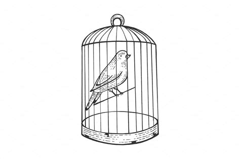 Canary Bird In Cage Engraving Vector Masterbundles