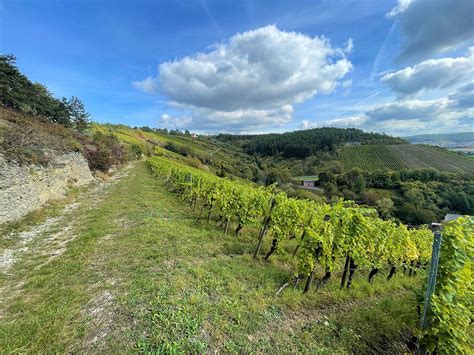 Weingut Ruppert In Hammelburg