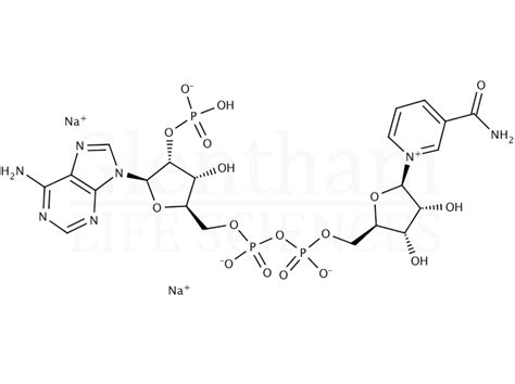 Beta Nicotinamide Adenine Dinucleotide Phosphate Disodium Salt CAS