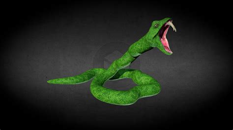 Snake Animation - 3D model by flarar-02 (@mau3d8) [79644e4] - Sketchfab