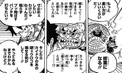 Onepiece 939「老いたる豹は路を忘れず」 我思う故に・・・新館我思う故に・・・新館