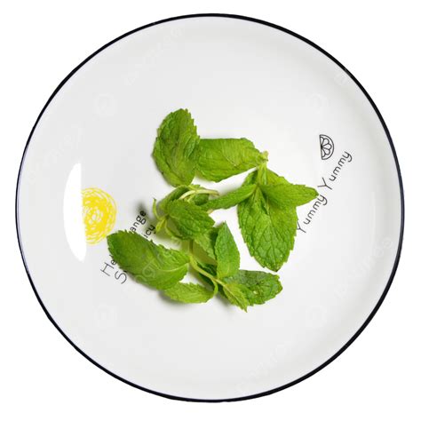 A Plate Of Fresh Green Mint Leaves A Plate Delicious Fresh Png