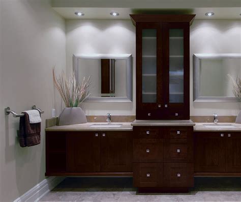 Contemporary Bathroom Vanities with Storage Cabinets - Kitchen Craft