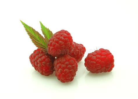 Ripe Raspberry Stock Image Image Of Sweet Lush Macro