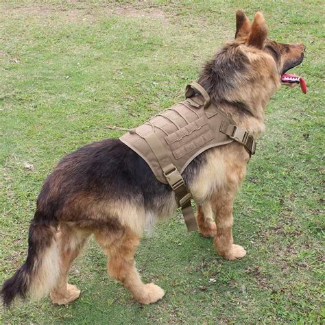 Harness For German Shepherd Puppy | PETSIDI