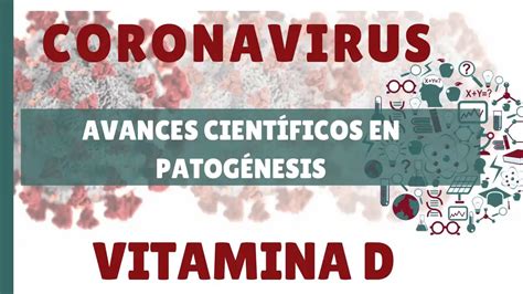 Avances Cient Ficos En Inmunopatog Nesis Vitamina D Equisalud