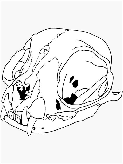 "Persian Cat Skull, transparent line-art" Sticker by rootinspiration ...