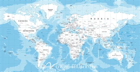 Blue And White Africa Centered World Map Magic Murals