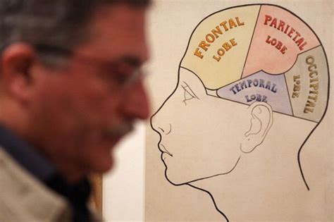 Neuroventas Cu Les Son Las Claves Para Venderle Al Cerebro Forbes Espa A