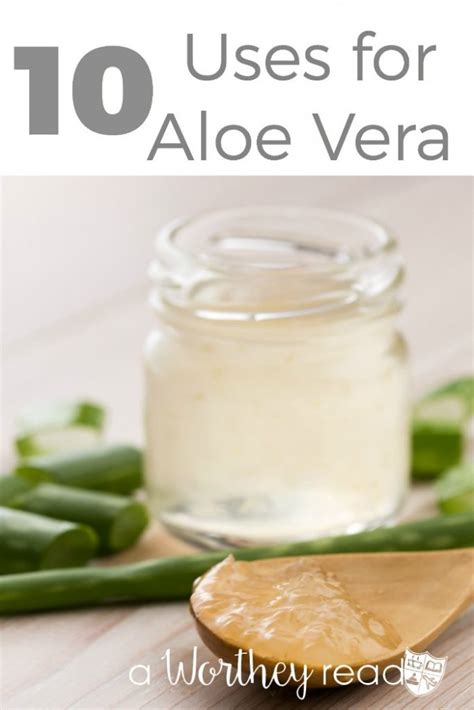 10 Best Uses for Aloe Vera