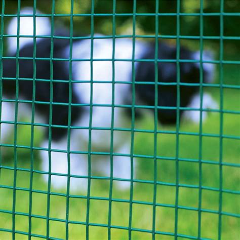Wholesale PVC Coated Welded Wire Mesh Manufacturer and Supplier | Chongguan