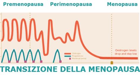 La Secchezza Vaginale Un Disturbo Della Menopausa Guida Genitori