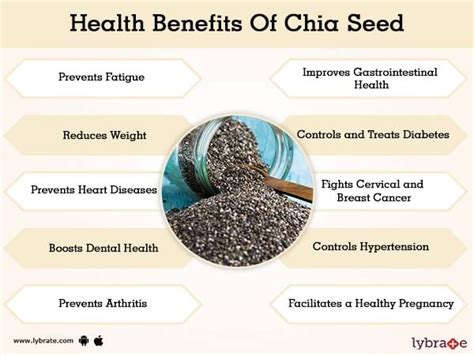 Benefits Of Chia Seed And Its Side Effects Lybrate