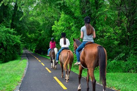 Experience The Thrill Of Horse Riding In Chesapeake Virginia