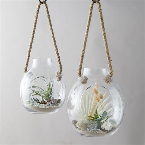 Hanging Terrarium Easy Care Air Plant Or Moss Terrariums