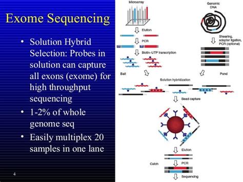 Exome Sequencing