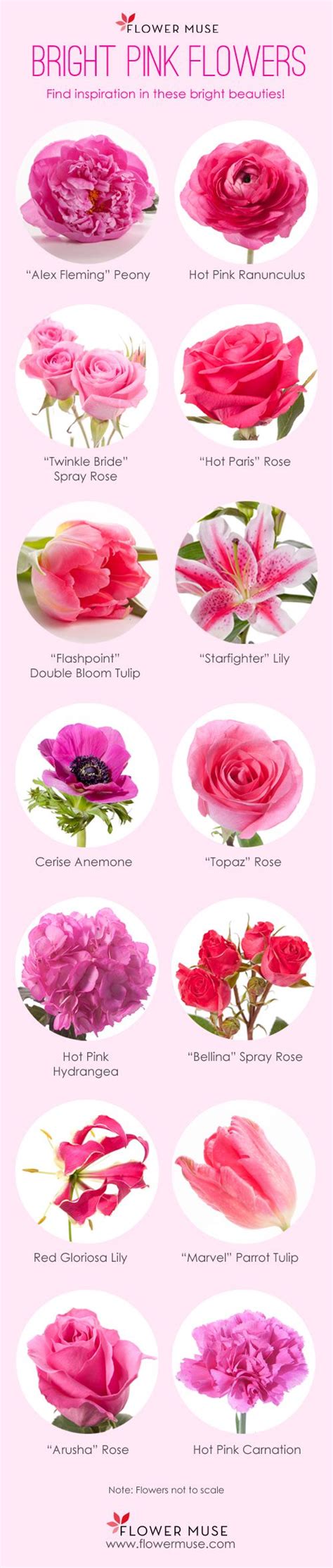 Our Favorite Bright Pink Flowers Flower Muse Blog Pink Wedding