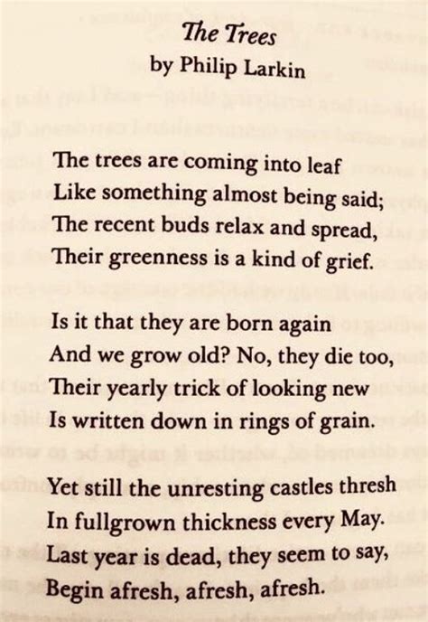 Poem: The Trees, Philip Larkin - Ned Hayes