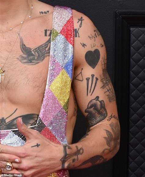 Harry Styles Cat Tattoo