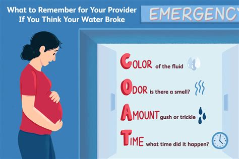 What Happens When Water Breaks In Pregnancy Essential Insights