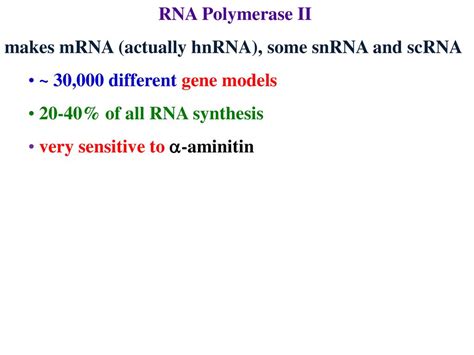 Regulating Gene Expression Ppt Download